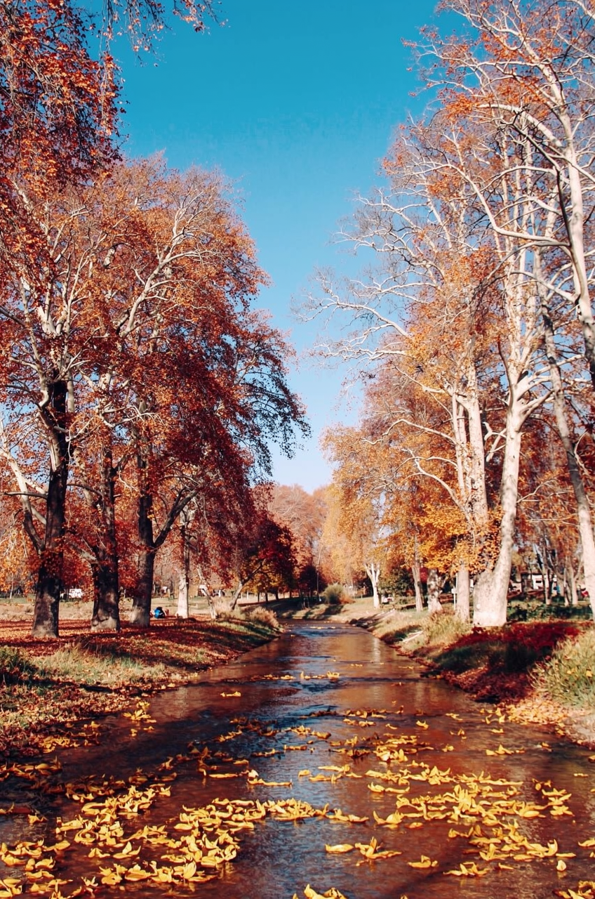 Autumn in Kashmir